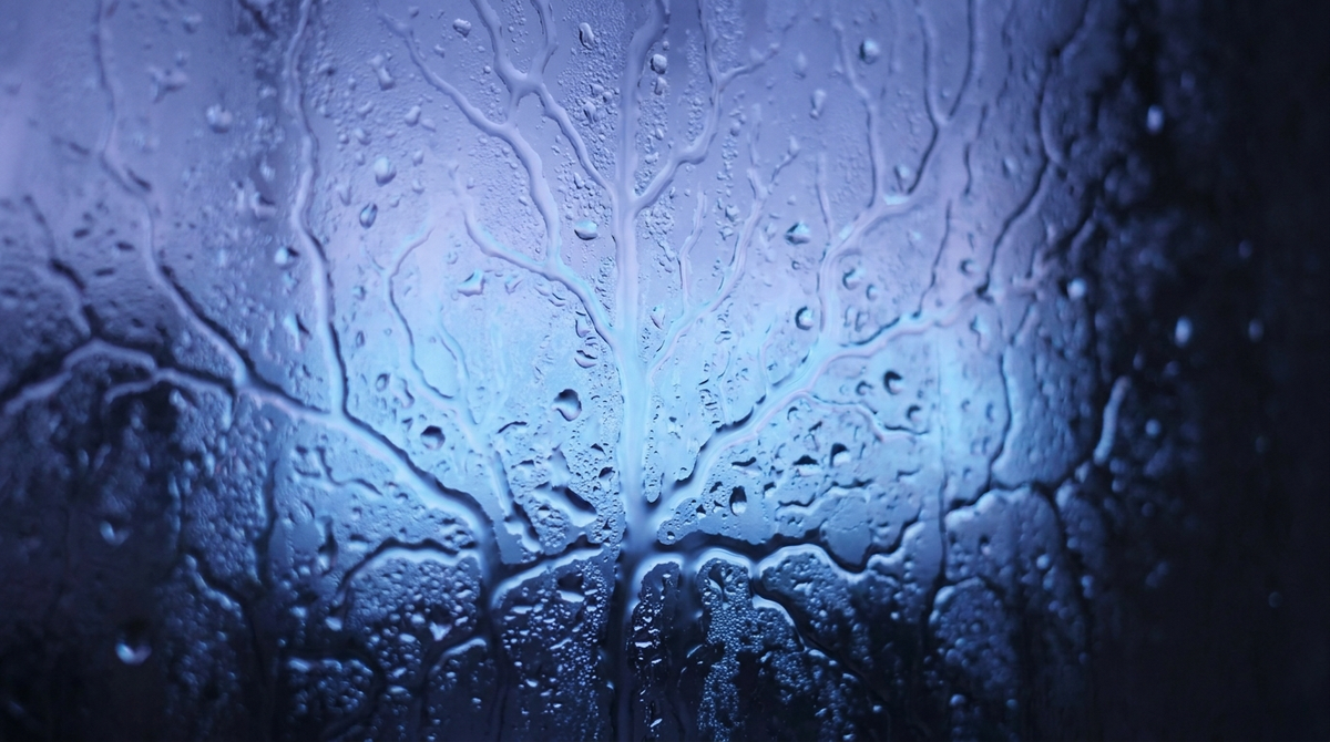Abstract macro photo of water droplets forming branching neuron-like patterns